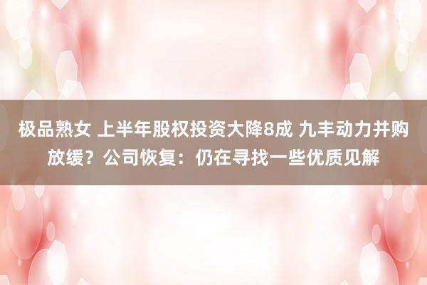 极品熟女 上半年股权投资大降8成 九丰动力并购放缓？公司恢复：仍在寻找一些优质见解