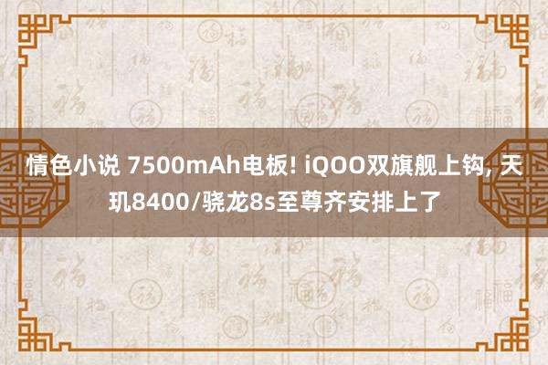 情色小说 7500mAh电板! iQOO双旗舰上钩， 天玑8400/骁龙8s至尊齐安排上了