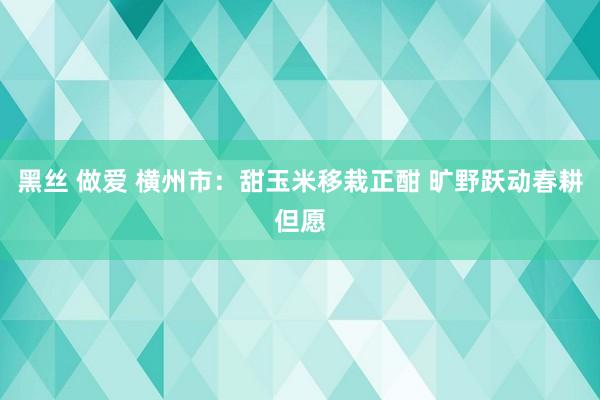 黑丝 做爱 横州市：甜玉米移栽正酣 旷野跃动春耕但愿