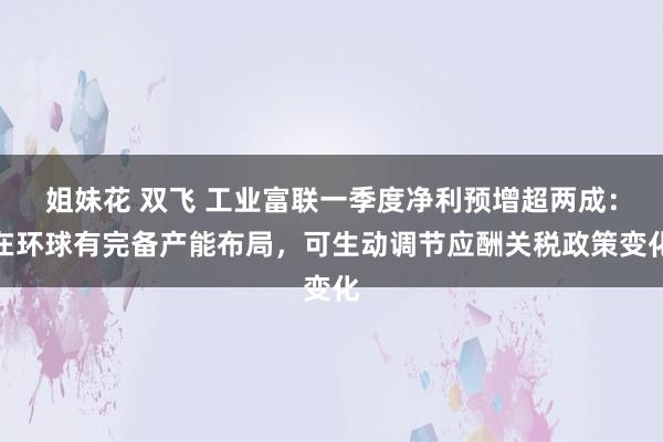 姐妹花 双飞 工业富联一季度净利预增超两成：在环球有完备产能布局，可生动调节应酬关税政策变化