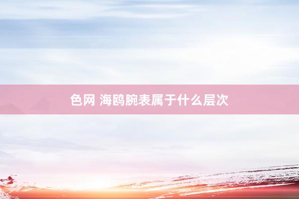 色网 海鸥腕表属于什么层次