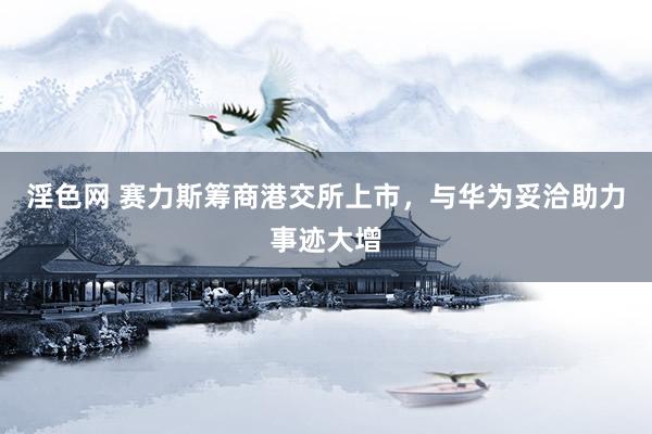 淫色网 赛力斯筹商港交所上市，与华为妥洽助力事迹大增
