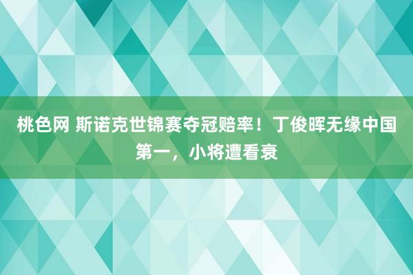 桃色网 斯诺克世锦赛夺冠赔率！丁俊晖无缘中国第一，小将遭看衰