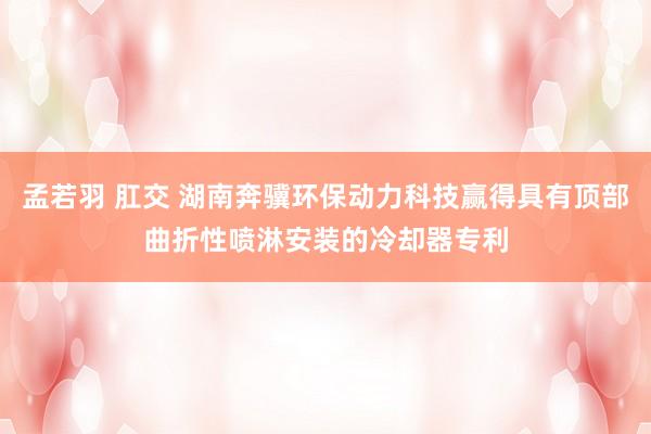 孟若羽 肛交 湖南奔骥环保动力科技赢得具有顶部曲折性喷淋安装的冷却器专利