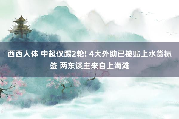 西西人体 中超仅踢2轮! 4大外助已被贴上水货标签 两东谈主来自上海滩