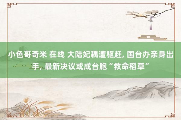 小色哥奇米 在线 大陆妃耦遭驱赶， 国台办亲身出手， 最新决议或成台胞“救命稻草”