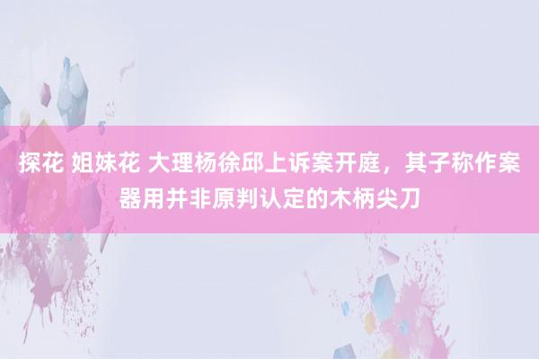探花 姐妹花 大理杨徐邱上诉案开庭，其子称作案器用并非原判认定的木柄尖刀
