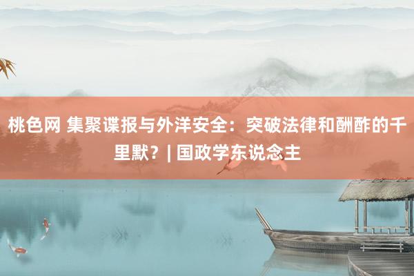 桃色网 集聚谍报与外洋安全：突破法律和酬酢的千里默？| 国政学东说念主