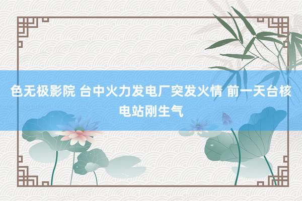 色无极影院 台中火力发电厂突发火情 前一天台核电站刚生气